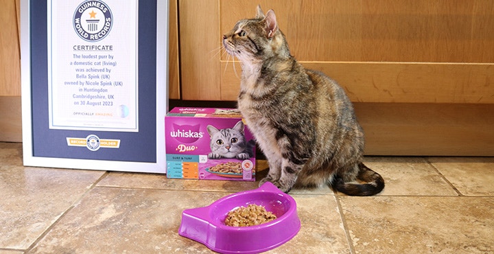Whiskas Guinness World Records