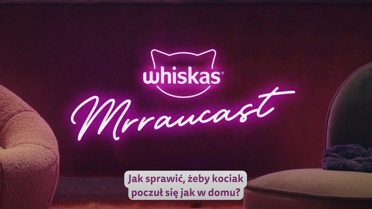 Kot w nowym domu - jak długo trwa proces aklimatyzacji?