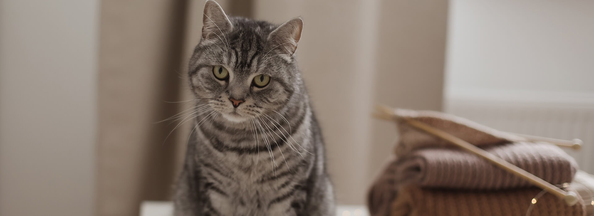 Zdrowie i pielęgnacja