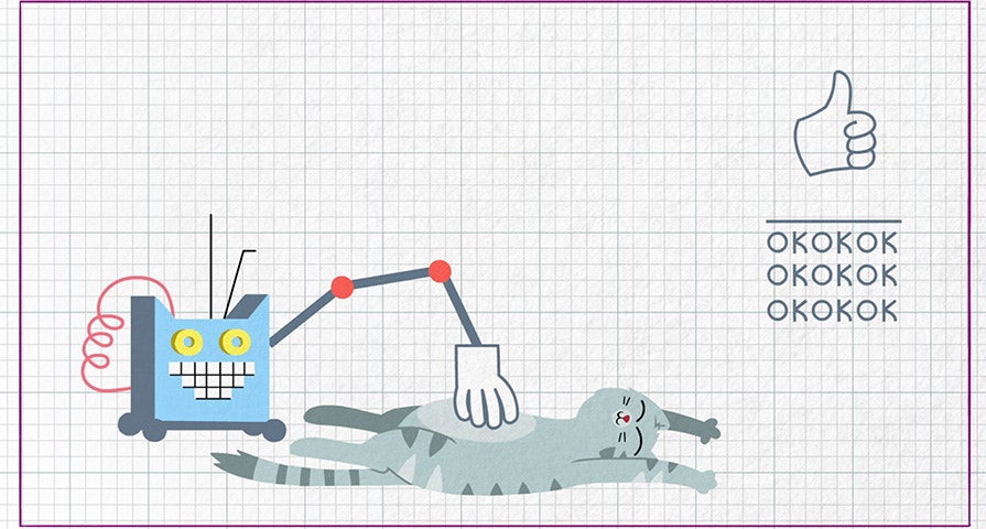 Skąd mam wiedzieć, że mój kot jest szczęśliwy?