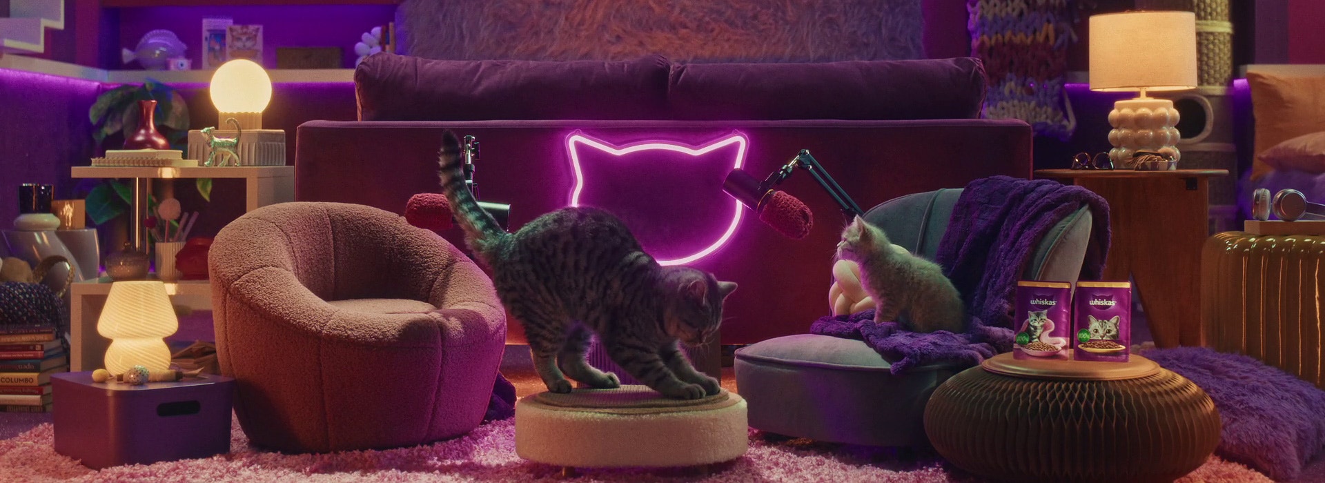 Co do wyprawia mój kociak?