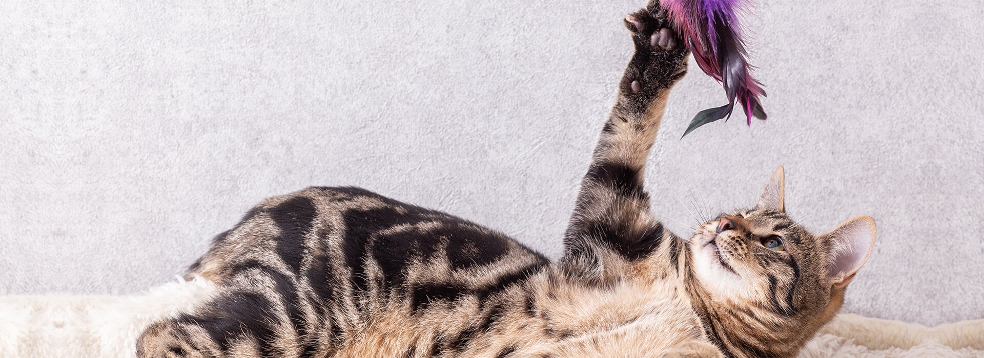 Socialisation et jeu