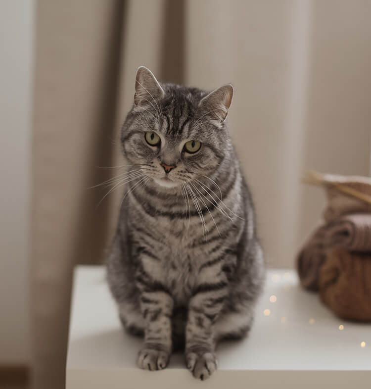 Zdrowie i pielęgnacja