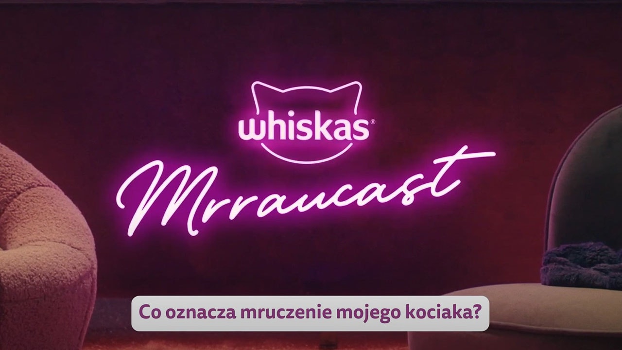 Co oznacza mruczenie mojego kociaka?