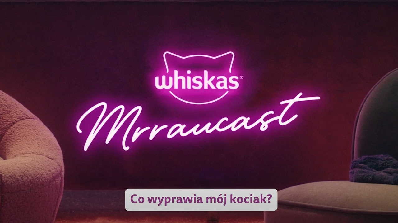 Co do wyprawia mój kociak?
