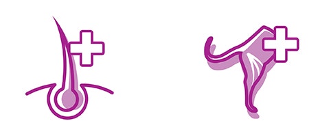 Dla kotów 1+ right icon