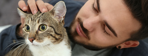 Agresywny kot – dlaczego kot atakuje opiekuna?