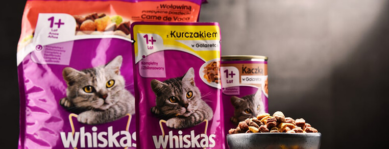 Dlaczego koty uwielbiają karmę Whiskas?