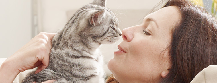 Toksoplazmoza. Czy kot jest zagrożeniem dla kobiet w ciąży?
