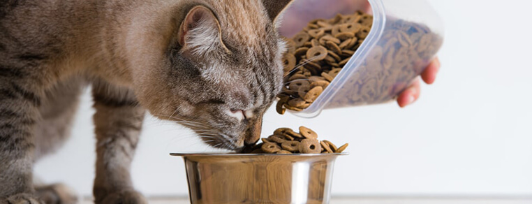 Ile jest mięsa w karmie dla kota?