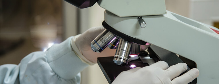 Trucizny i zagrożenia 