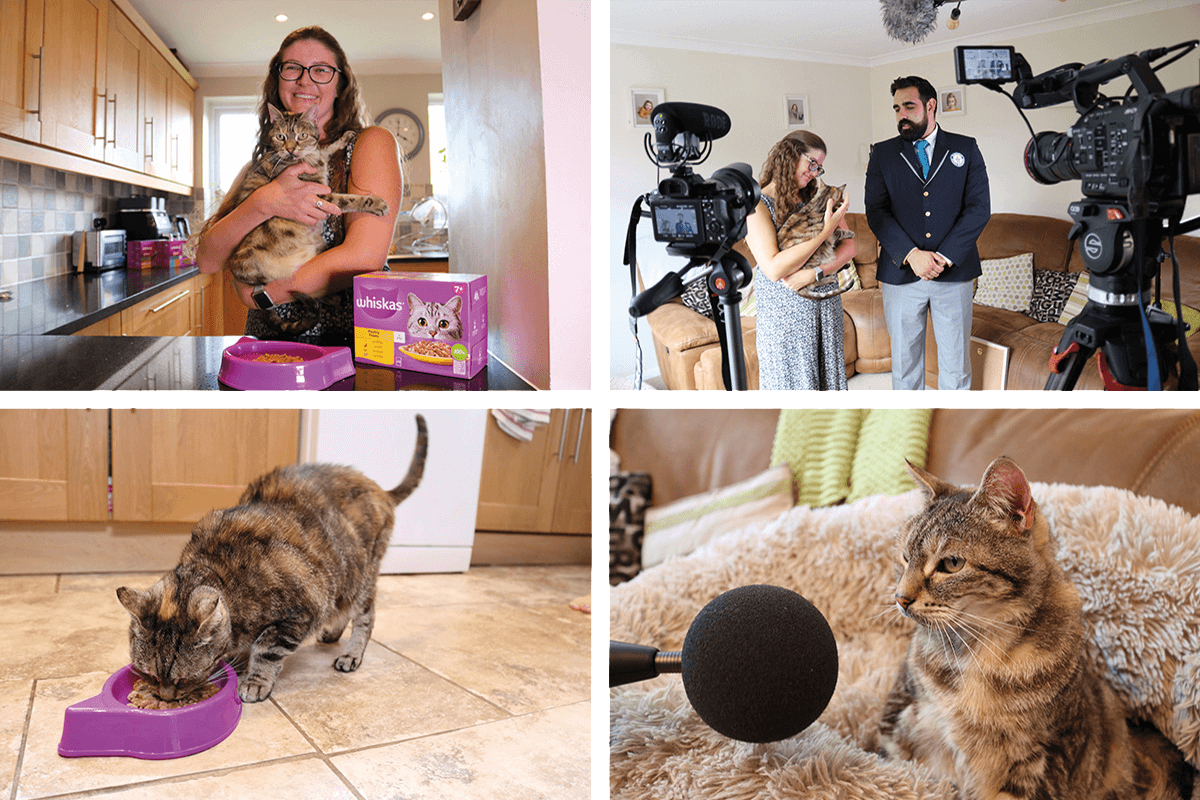 Chcesz, żeby Twój kot mruczał więcej?