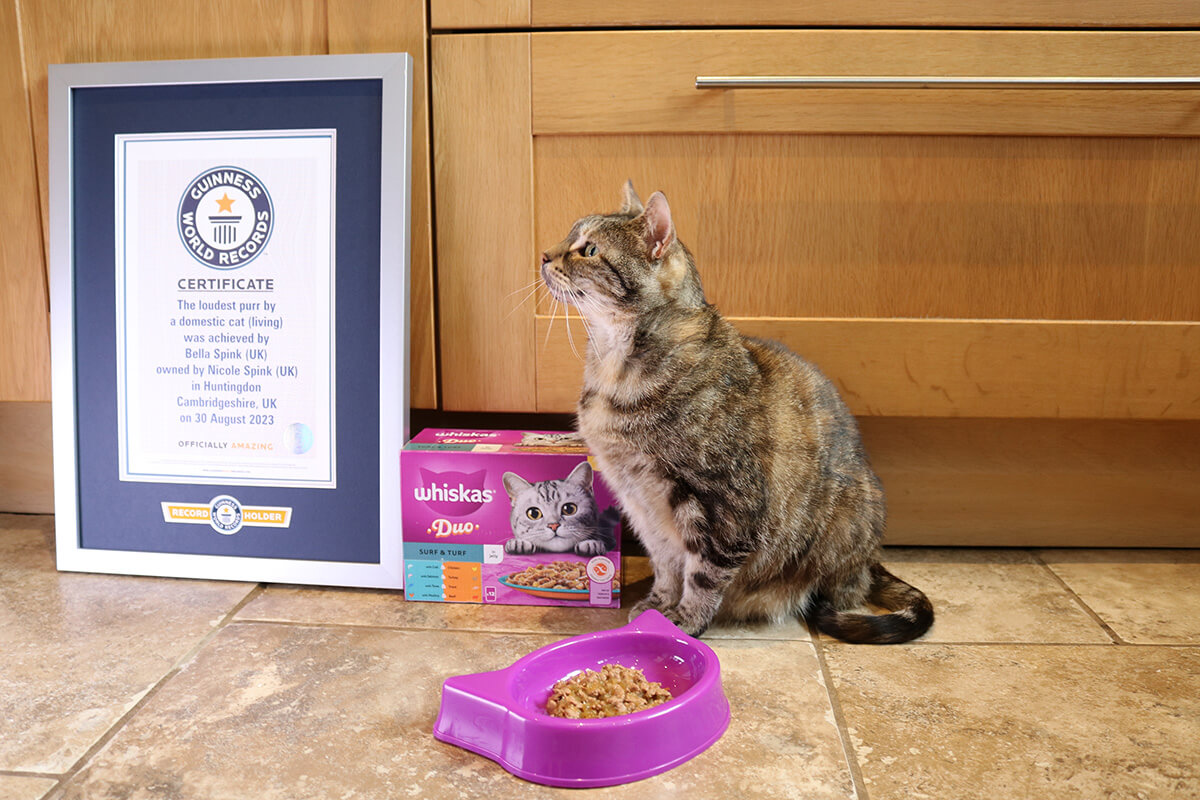 Bella jest nową rekordzistką!